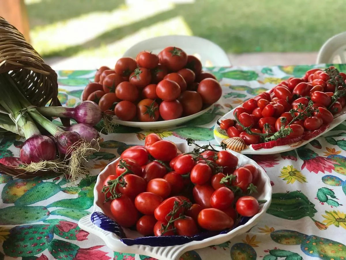Le Vele Bed & Breakfast Campofelice Di Roccella